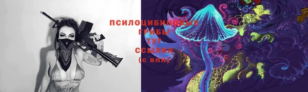 мяу мяу мука Алзамай