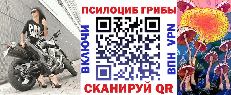 ОМГ ОМГ ТОР  как найти   Болгар  Галлюциногенные грибы Psilocybe 