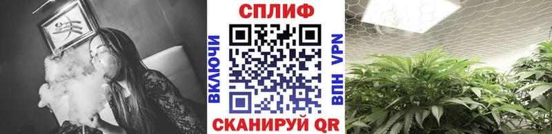 Шишки марихуана MAZAR Болгар